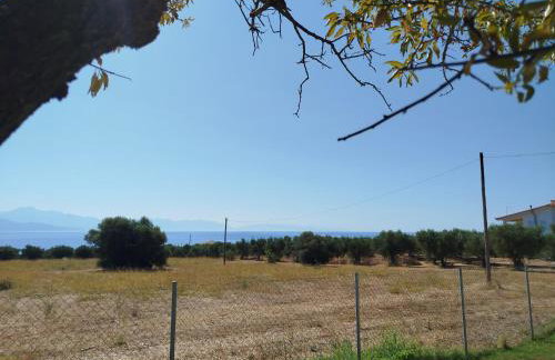 Nereids Apartments-Pronoe - Foto 45