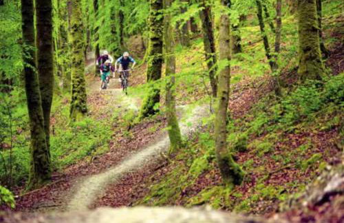 Gardener's Cottage Carmarthenshire Sleeps 5 - Foto 18