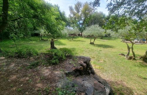 Chalet avec piscine privée dans la forêt - Foto 25