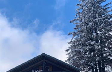 Chalet du Bois Joli - Foto 24