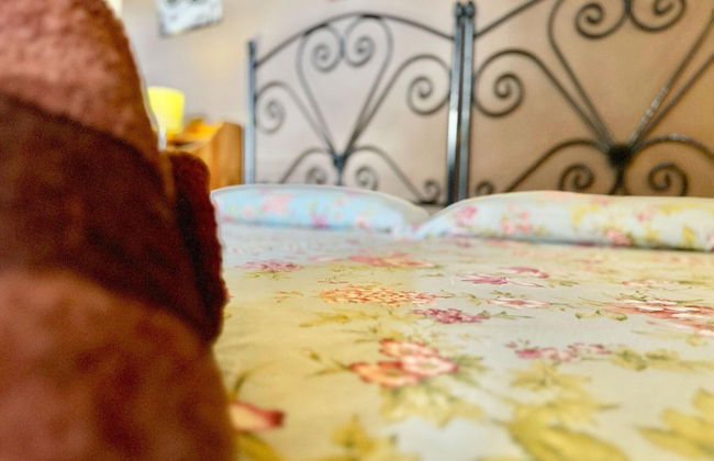 Rural Apartment With Direct Access to the Pool - Foto 4