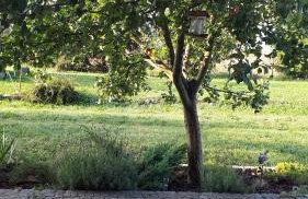 Agroturystyka "JAGAP" OAZA SPOKOJU - Foto 18