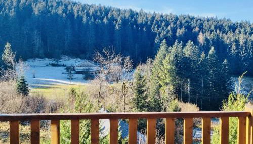 BEAUTIFUL CHALET in nature near Gerardmer! - Foto 2