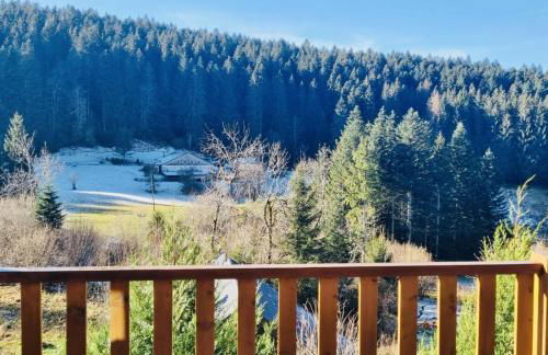 BEAUTIFUL CHALET in nature near Gerardmer! - Foto 2