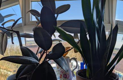 Rose Cottage - Foto 19