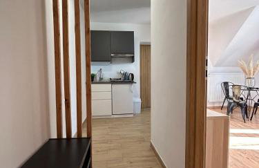 APARTAMENTY Adamcykówka blisko stoku Czorsztyn-Ski! Jacuzzi i Sauna w cenie! - Foto 57