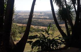 Sítio Santa Terezinha Canastra - Foto 29