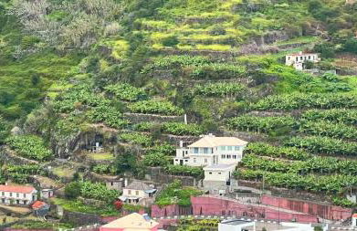 Ribeira Roots Residence - Foto 19