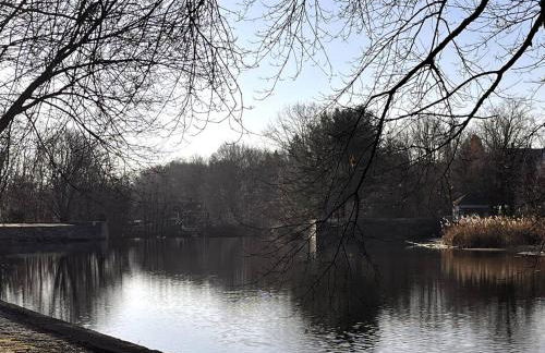 Private Modern 1st Flr 3 Bed Apt Close to Downtown - Foto 39