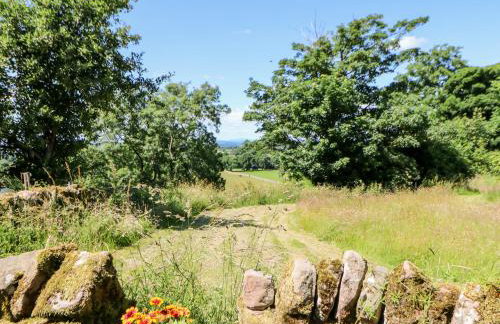 The Cow Byre - Foto 18