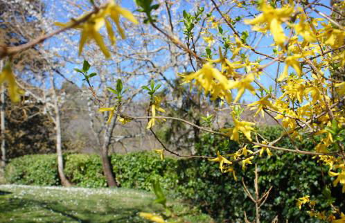 Agriturismo Borgo Ornina - Foto 46