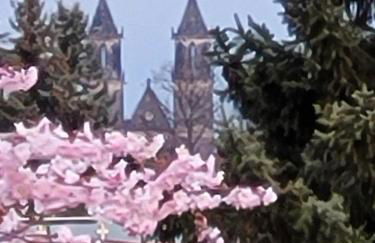 Haus Schmeile - Foto 22