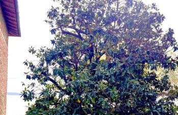 Sogni sul Lago - Passignano sul Trasimeno - Foto 39