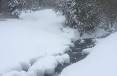 bel appartement du sancy - Foto 6