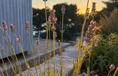 BUQEZ ECO RESORT - Beach Villas 2 and 8 - Seaview, new wifi! - Photo 38