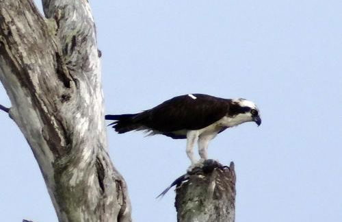 Luxury and the beach - Foto 25