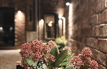 The Basement - Foto 11