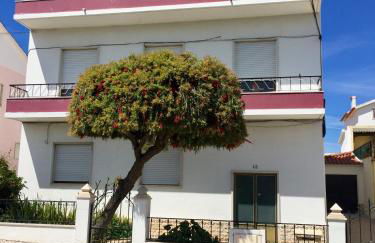 Lines of Wellignton - Foto 13