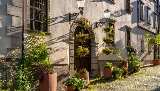 See the traditional architecture