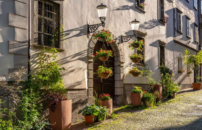 Ljubljana Guided Tour - Foto 3