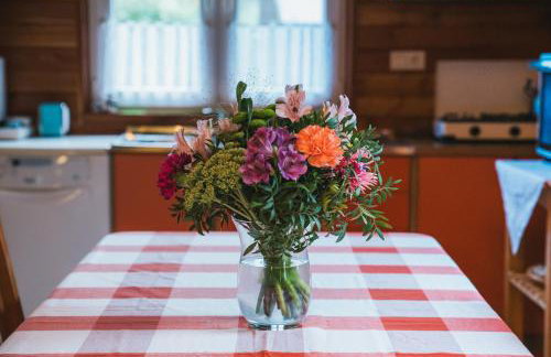 Agroturystyka Pod Modrzewiami - Foto 16