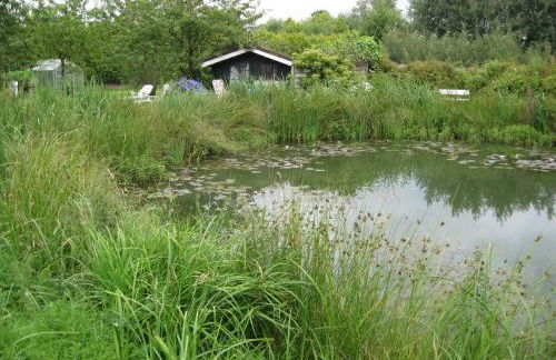 Ferienwohnung Hummel - Foto 15