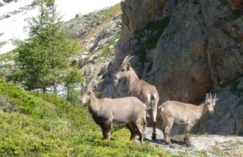 Appartement Capucine - Foto 8