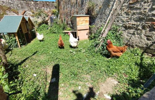 Ancienne école proche du Puy du Fou - Photo 18