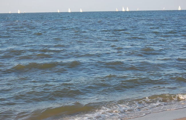 Little Seagull Modern Retreat - Foto 15