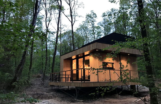 Lodge in Oignies Forest With Eco Design - Foto 19