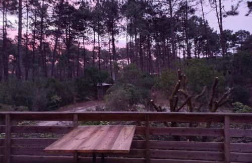 CHALET A NATURISTE Le TIKI - Foto 14