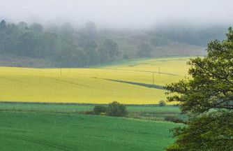 Woodview Cottage - Photo 14