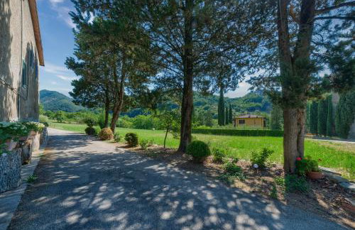 L'aia dì Trippa all'Aria Mugello - Photo 18