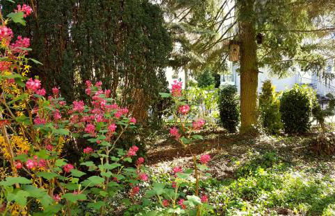 Ferienhaus Sanssouci - Foto 46