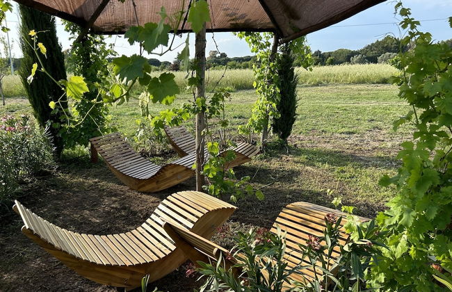 Fattoria Palazzeta Pet & Family Friendly - Foto 56