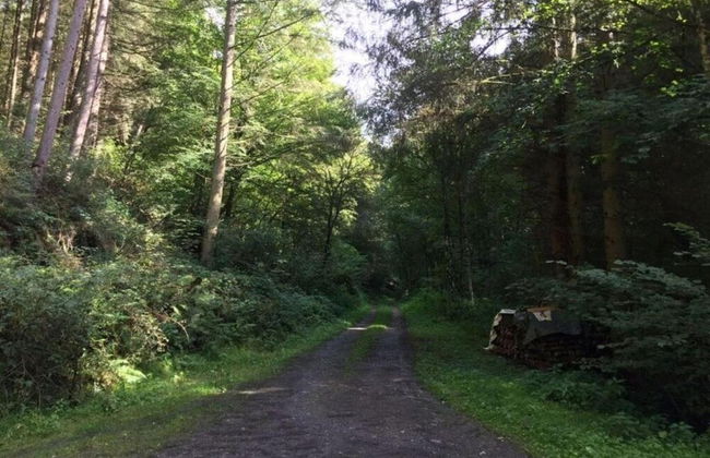 Holiday Home Moselle With Private Sauna - Photo 40