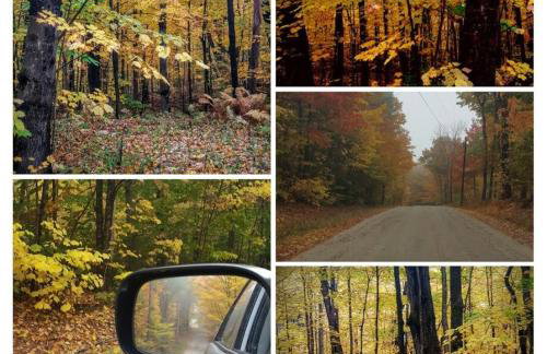 Deer Valley Retreat, Lovely Log Cabin with Fireplace & Garden Views- Perfect for a Relaxing Getaway! - Foto 66