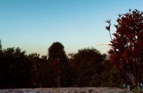 Rancho Bougainville - Foto 7