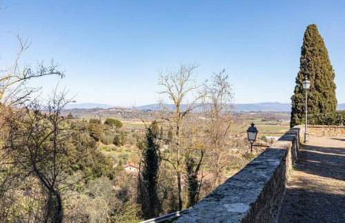 Beb Pulcino Nero Scrofiano - Photo 33