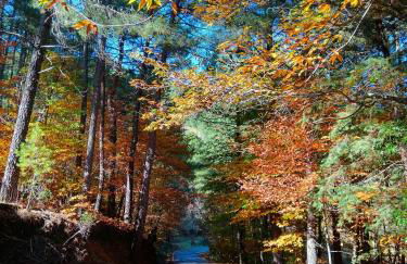 Estrellas de Gredos - Photo 6