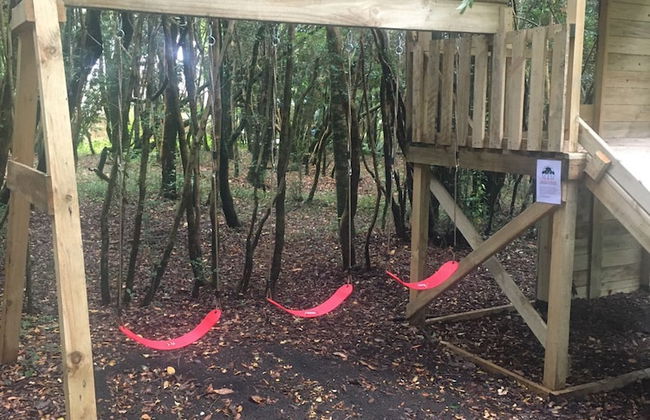 Cabañas Ensenada Bosque Nativo - Foto 39