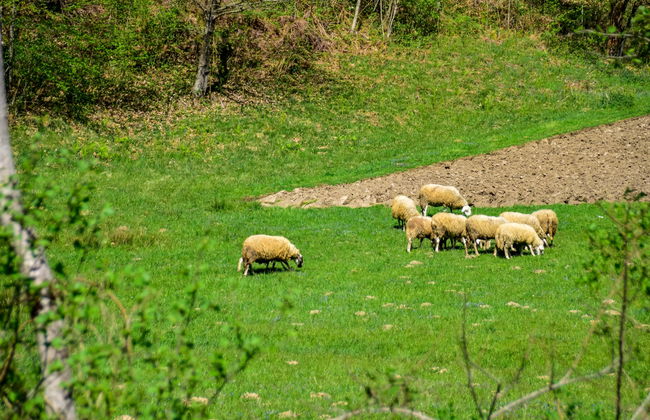 Relax & Play - Foto 68