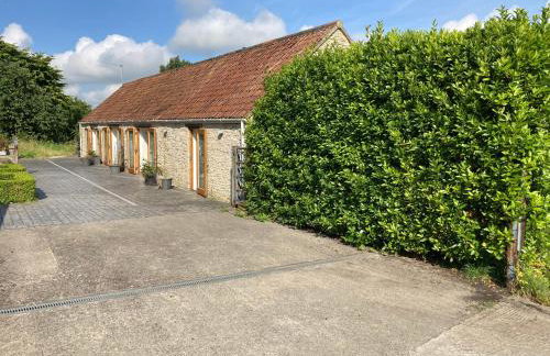 The Long Room - Foto 13