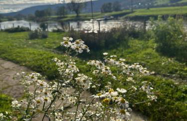 Haus an der Weser - Foto 16