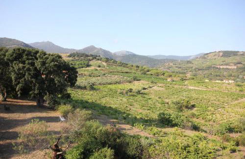 Mar i Munt - Foto 27