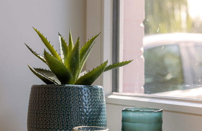 Lady - Lovely Double Room at Ranch De Blauwe Zaal - Foto 23