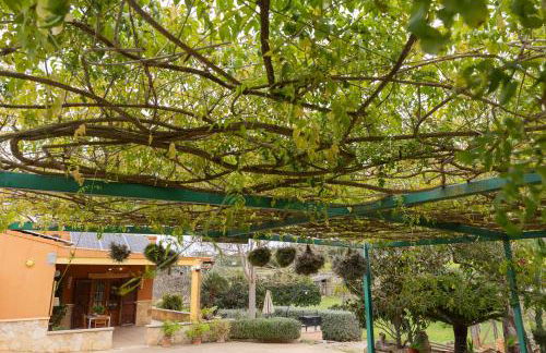 Yourhouse Villa Sa Caseta - Foto 45