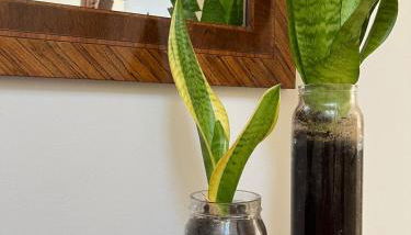 Brisa Vacacional - Adults Only - Photo 5, Lobby or reception