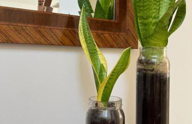 Brisa Vacacional - Adults Only - Photo 5