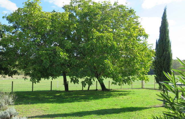 3 bedroom House in Chantérac with garden and terrace - Photo 22